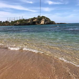 Meet your Posher, Shelly